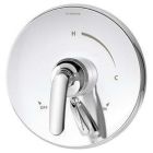 Shower Valve and Trim