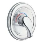Chrome Moentrol(R) valve trim
