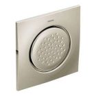 Polished nickel body spray