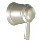 Brushed nickel volume control