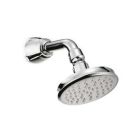 Guinevere Showerhead W/Arm Hes