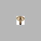 Shower Arm And Flange