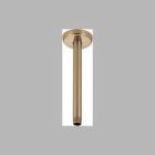 Shower Arm And Flange